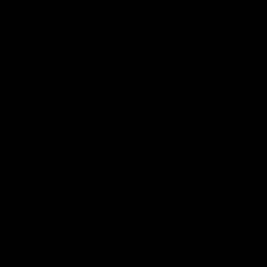 Meet your Posher, Bodie